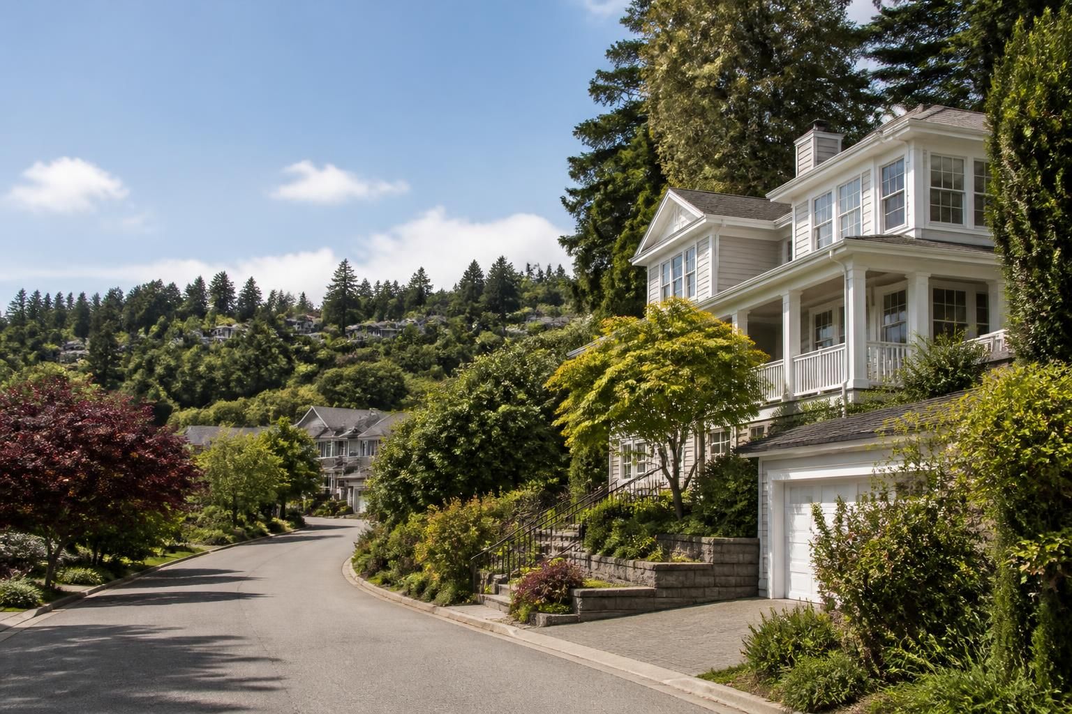 Hilly residential neighborhood with homes and greenery